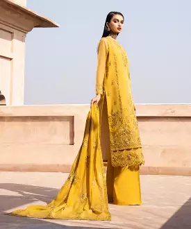 3 Piece - Organza Suit with Embroidery