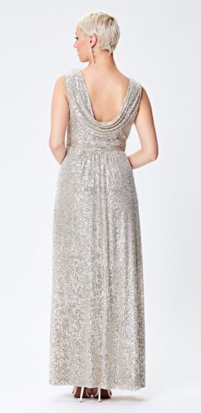 Cardi Silver Maxi Dress - Buy Online