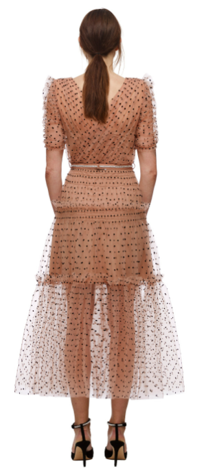 Dot Mesh Midi Dress: Polka Dot Sheer Overlay Knee-Length Dress