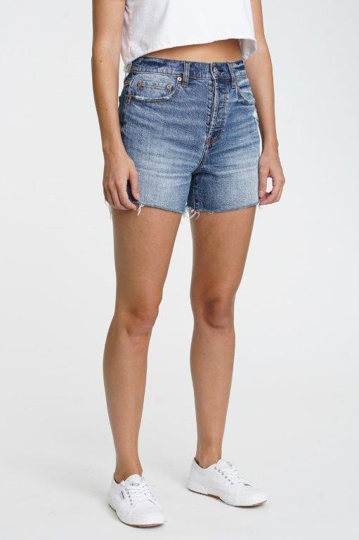 Vintage High Rise Denim Shorts